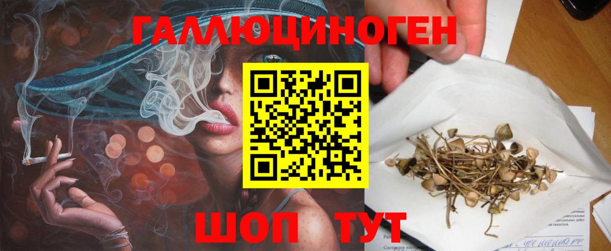 Псилоцибиновые грибы GOLDEN TEACHER  Вход с VPN  Кореновск 